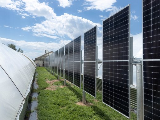 Bifacial Fence Ground 1 Bifacial Fence Ground 1